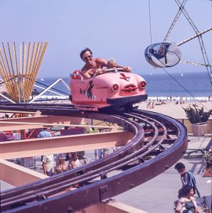 Wild mouse in color