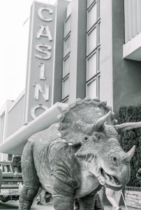 Triceratops outside the Casino, 1993