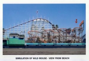Simulation of wild mouse - view from beach
