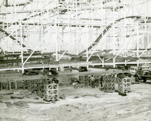 Wild mouse construction