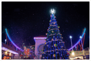 Santa Cruz Beach Boardwalk Winter Wonderland at night