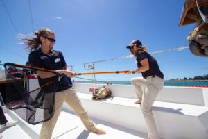 First Mates Cullem and Kate preparing the net to rescue a passengers hat that flew overboard.